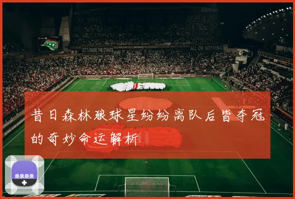 昔日森林狼球星纷纷离队后皆夺冠的奇妙命运解析