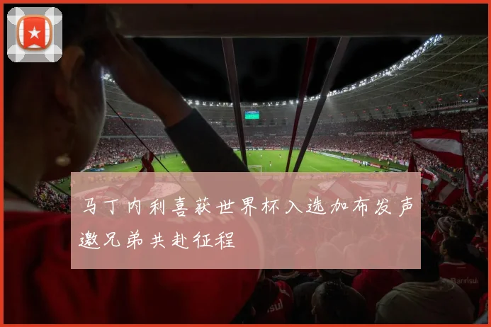 马丁内利喜获世界杯入选加布发声邀兄弟共赴征程