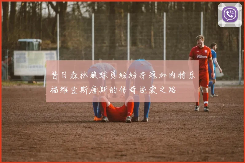 昔日森林狼球员纷纷夺冠加内特乐福维金斯唐斯的传奇逆袭之路